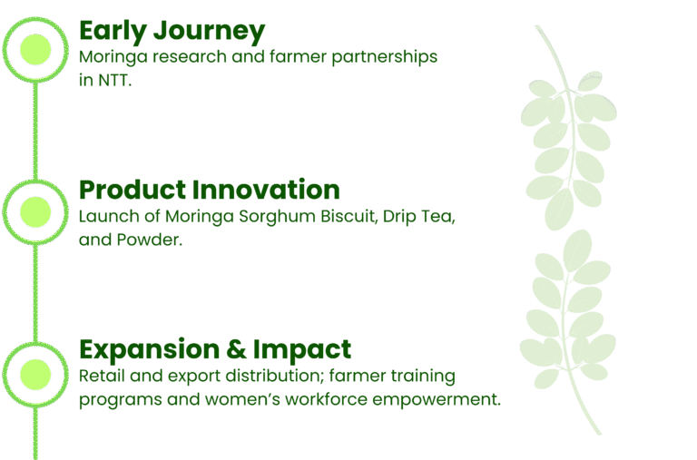 teks paragraf anda (12)