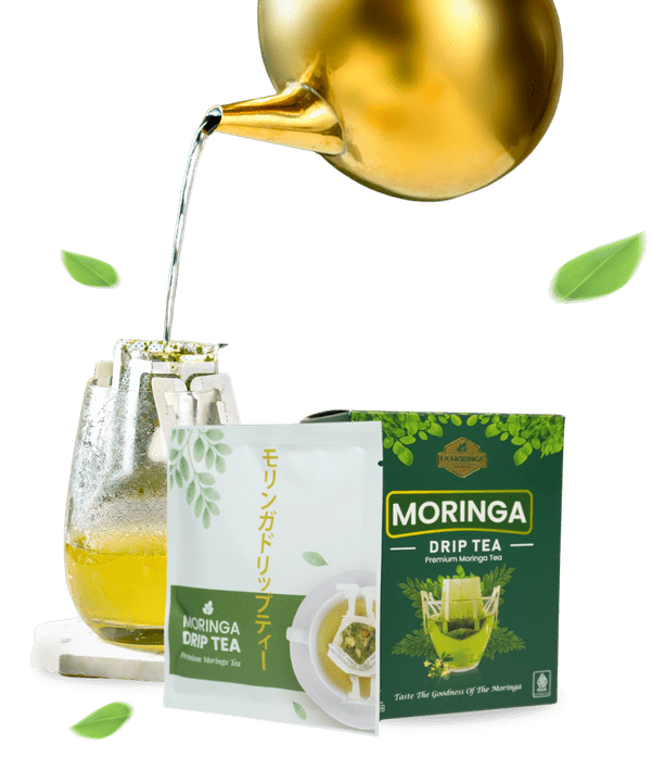 moringa drip tea