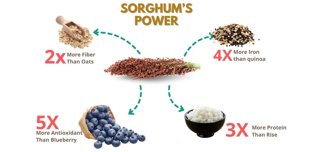 Sotghum Powers